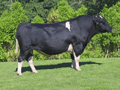 Image de Hallville As Cola S2F