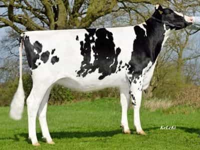 Image de Huracan