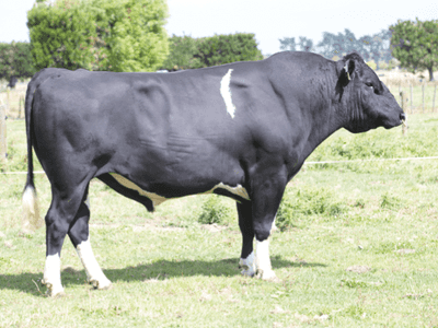 Image de Jareem Mh Verdict S2F