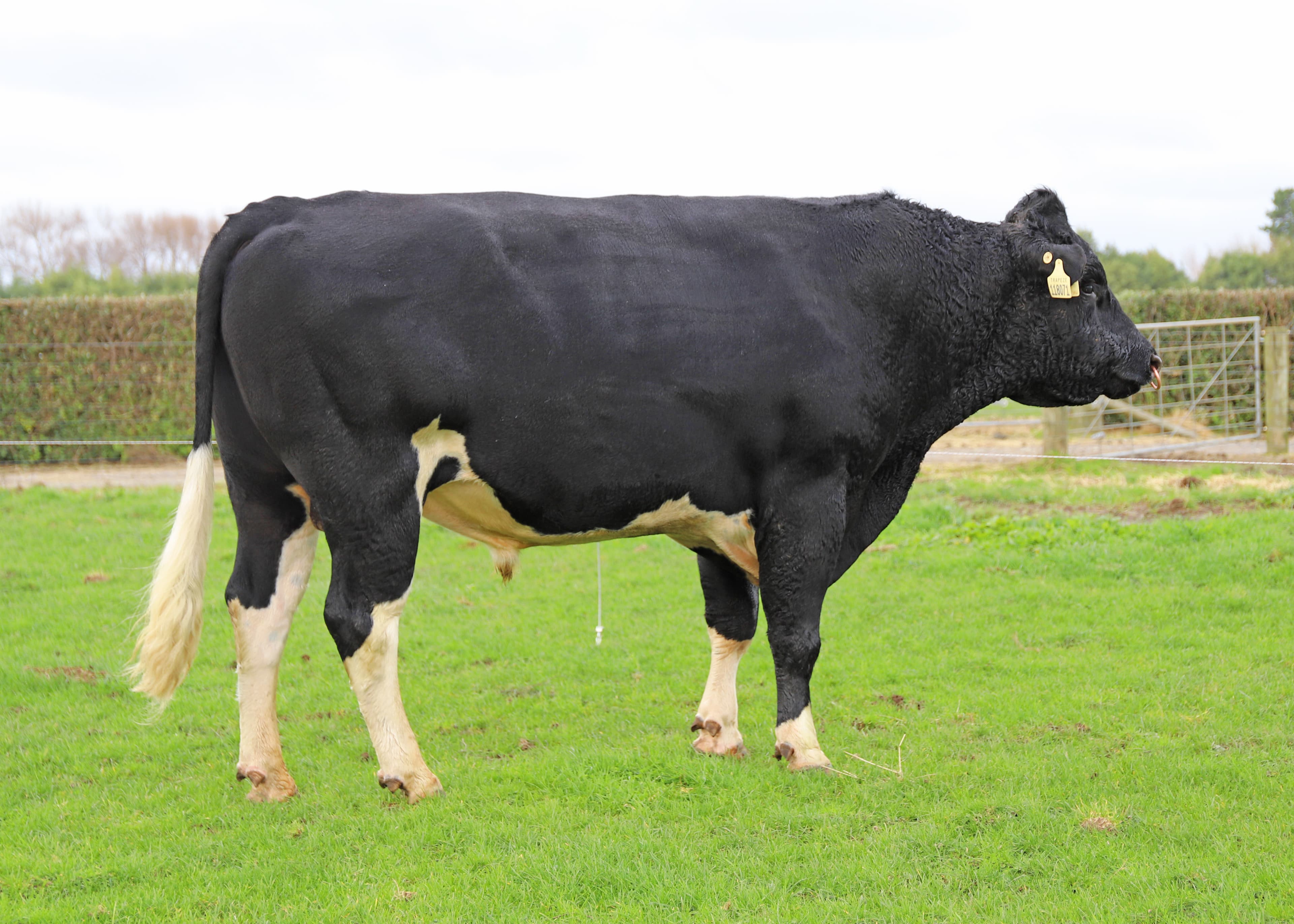 Image de Glenmead Sb Trapeze S1F