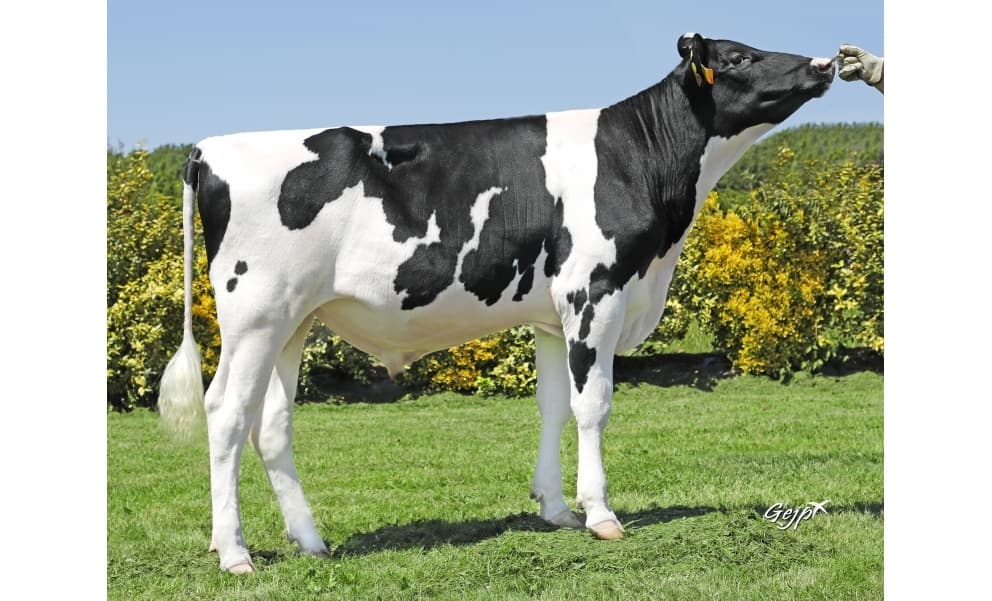 Image de Barik EV Naiade
