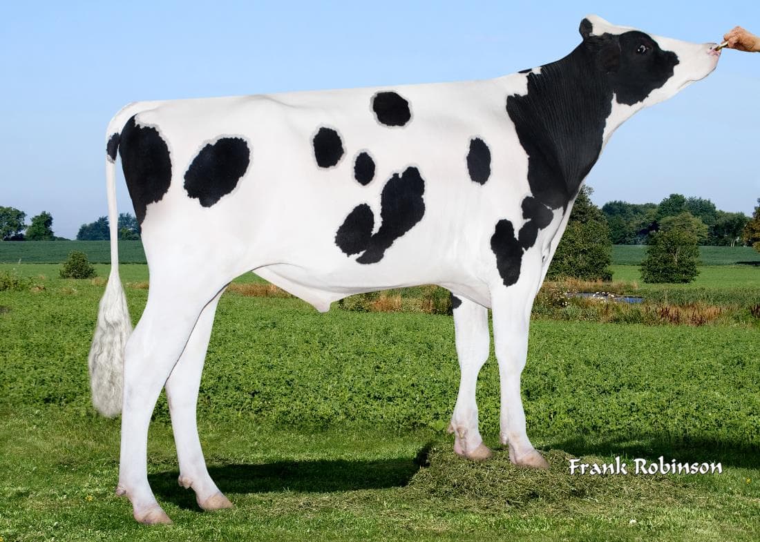 Image de Edg Delta-Baylor-ET