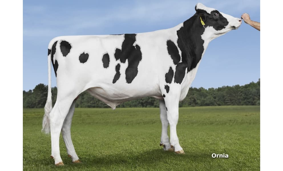 Image de Bb Dg Silver Surfer ET