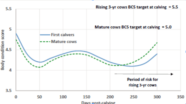 Note d'État Corporel