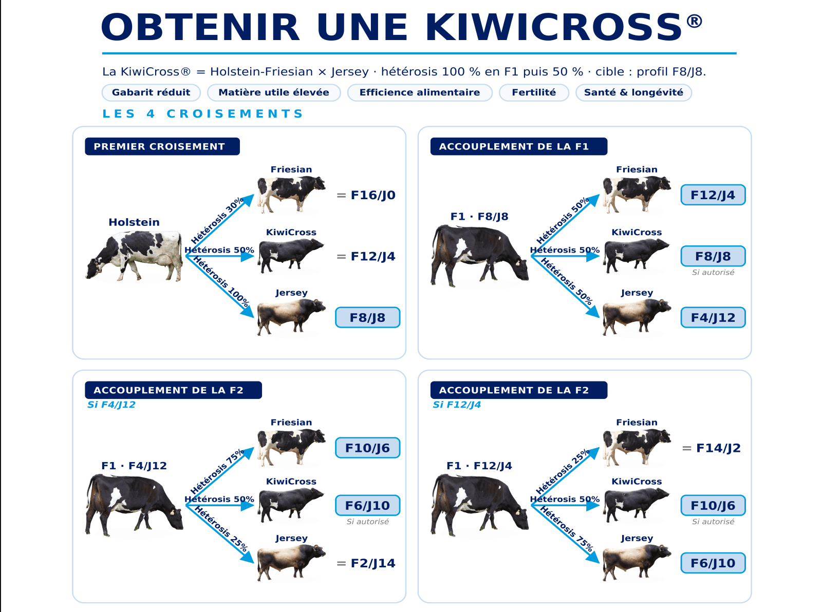 Schéma technique LIC PROGENES — les 4 croisements pour obtenir une KiwiCross® F8/J8