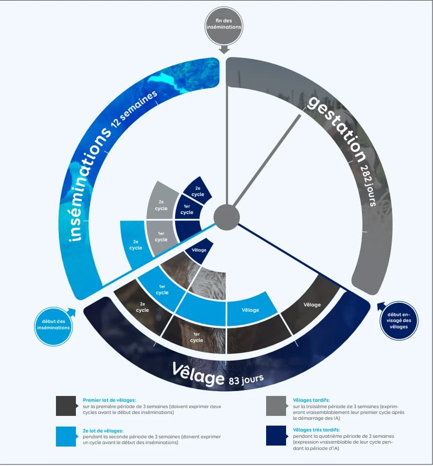 Graphique Course contre la montre