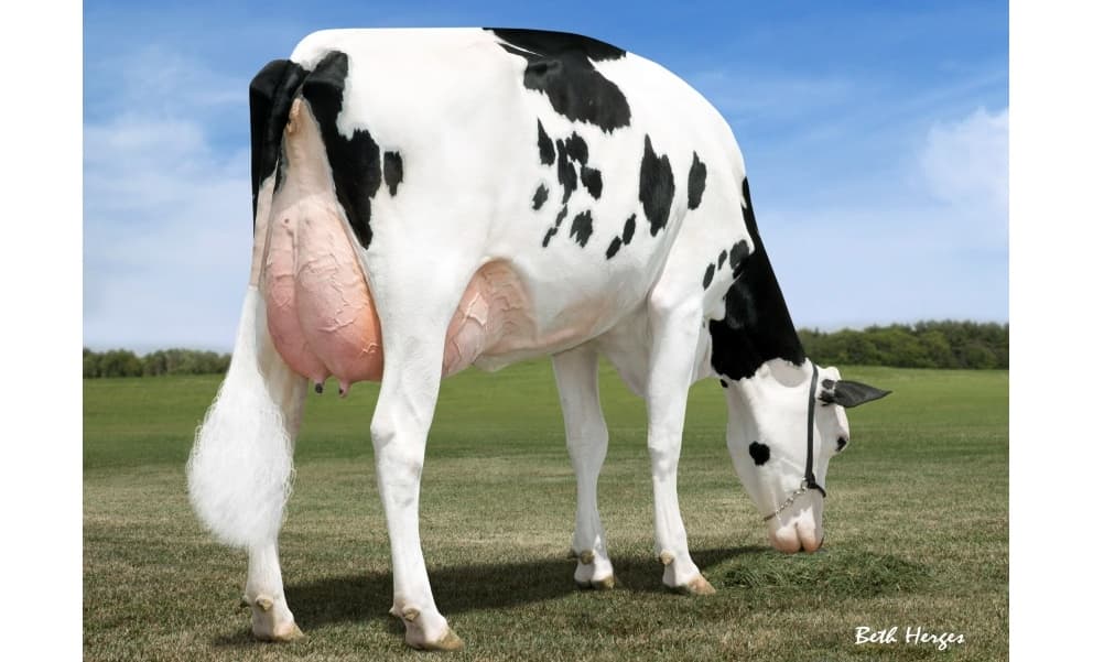 Image de Darling Dior