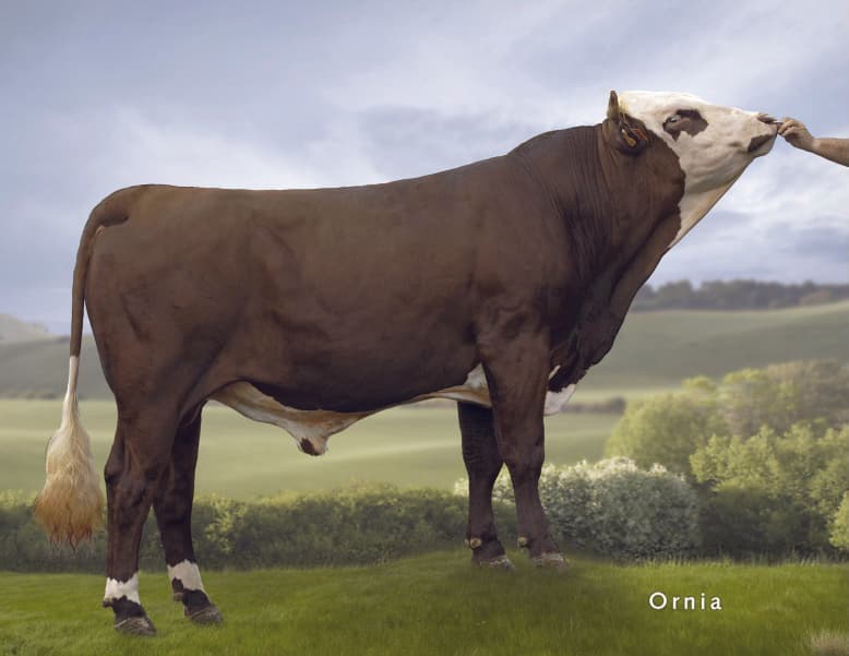 Image de Florentin-FR