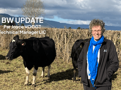 Actualisation du BW lancée en Mars 2023