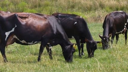 Greg_article_Bulletin