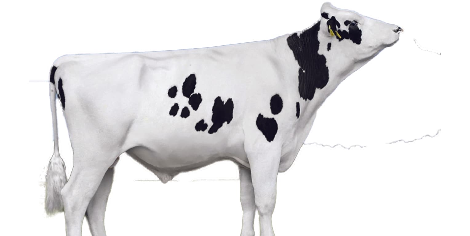 Image de Celene MVP ET