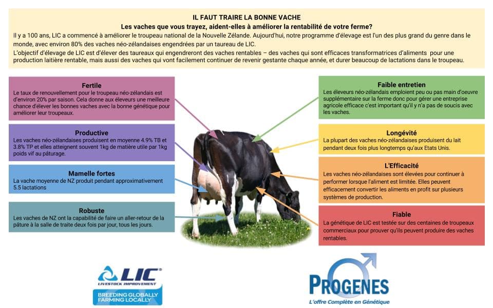 La vache idéale