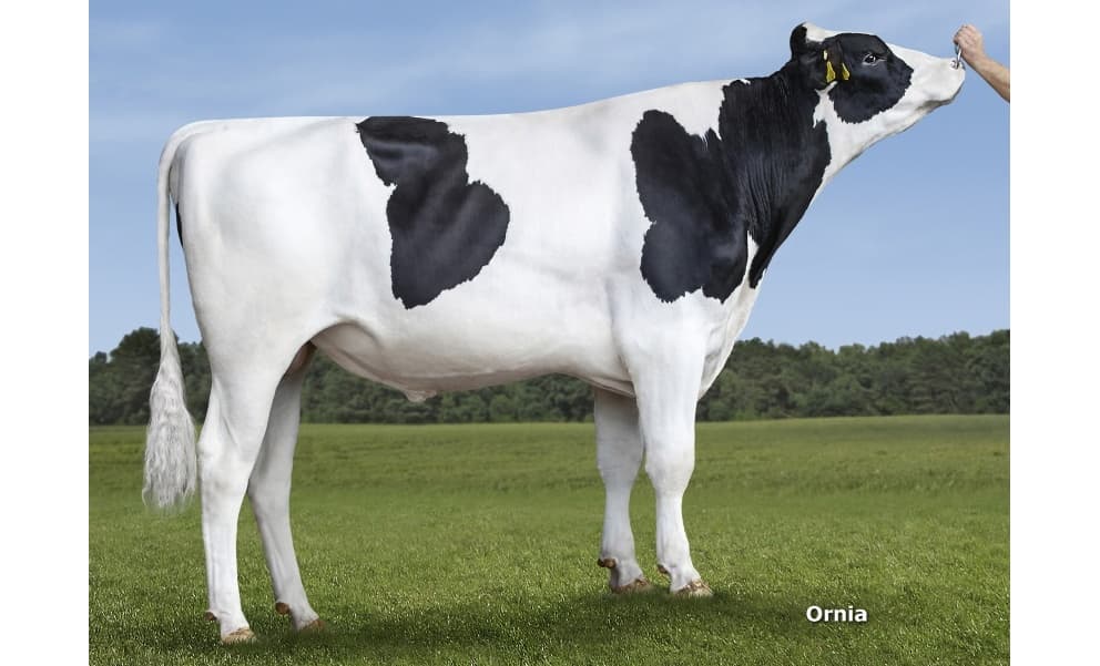 Image de Nancy Saltoki