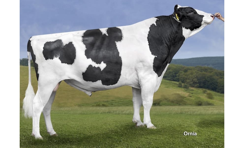 Image de Marilyn Oklahoma ET