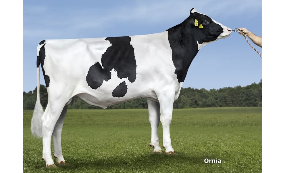 Image de Rita Moises ET