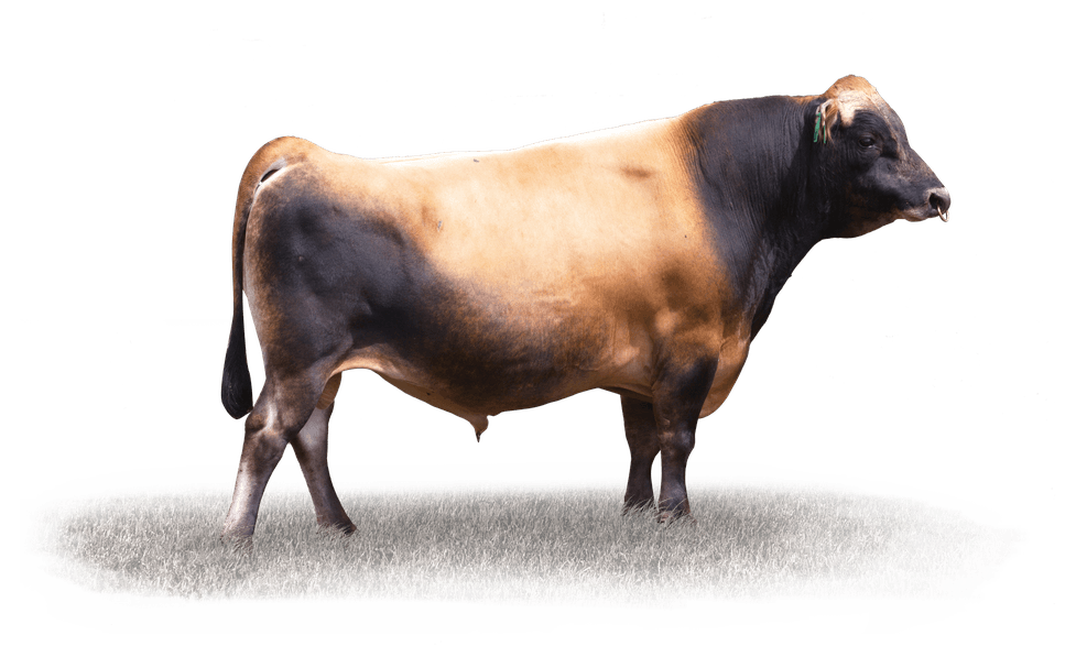 Image de Riverview And Dexter S2J