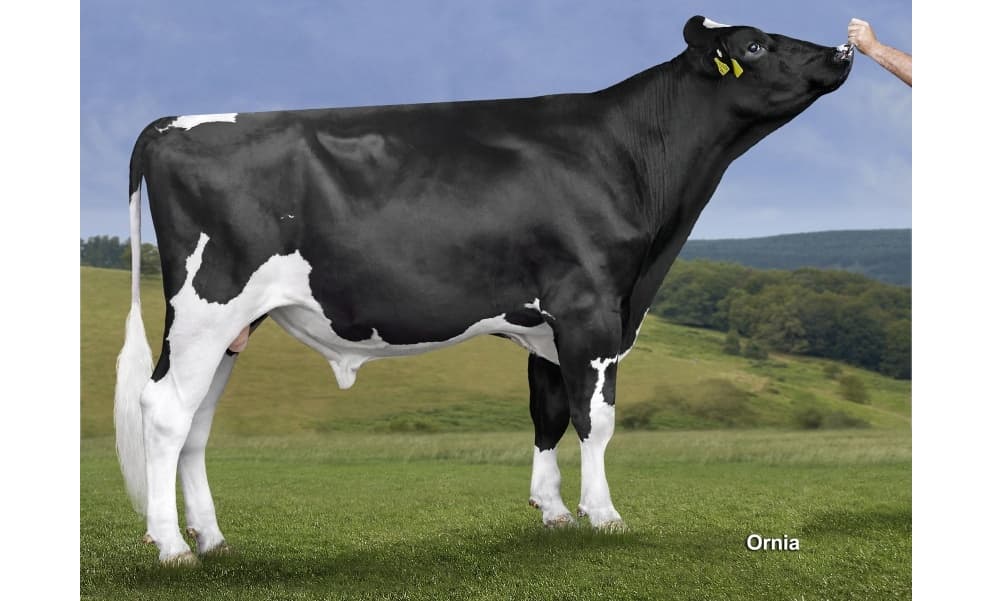 Image de Sandy Gh Bonbon