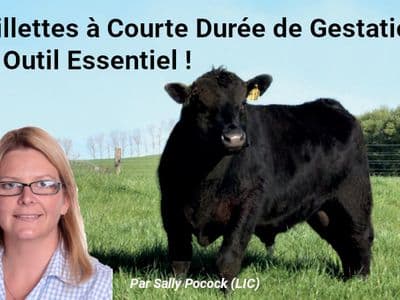 Paillettes à Courte Durée de Gestation - Un Outil Essentiel