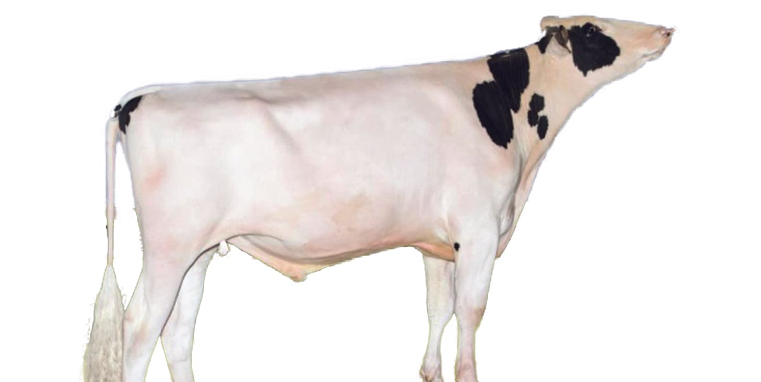 Image de Stantons Mont Michigan