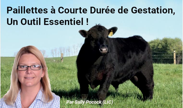 Paillettes à Courte Durée de Gestation - Un Outil Essentiel