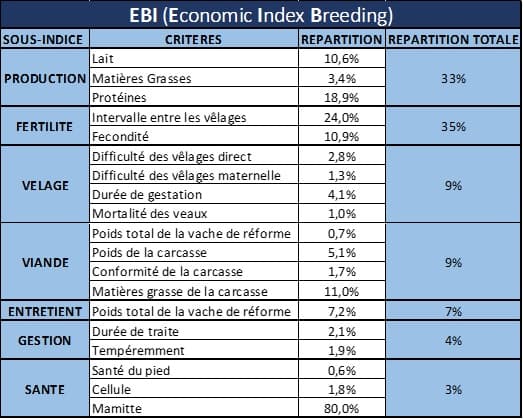 Image de couverture pour l'article L’EBI, l’index de synthèse durable