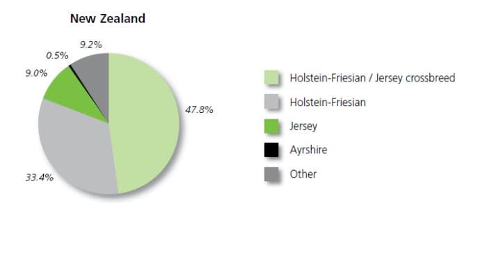 Composition du troupeau laitier néo-zélandais