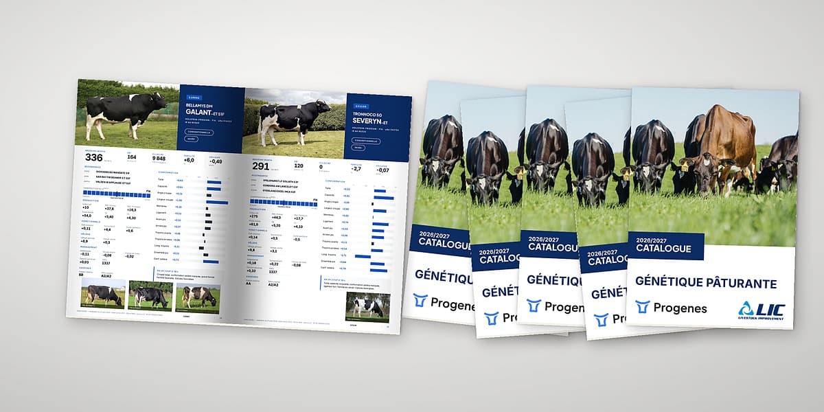 Catalogues NZ