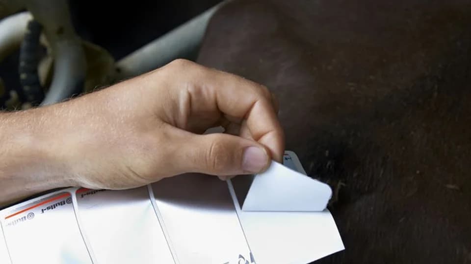 Produits de détection des chaleurs