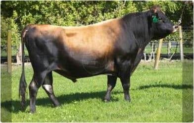 Image de Evleen Integrity Larson