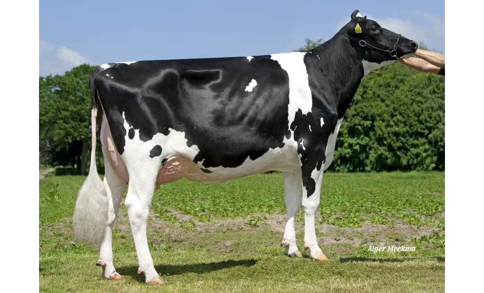 Image de Mae Kentucky ET