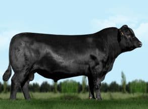 Image de Lightning Total ET