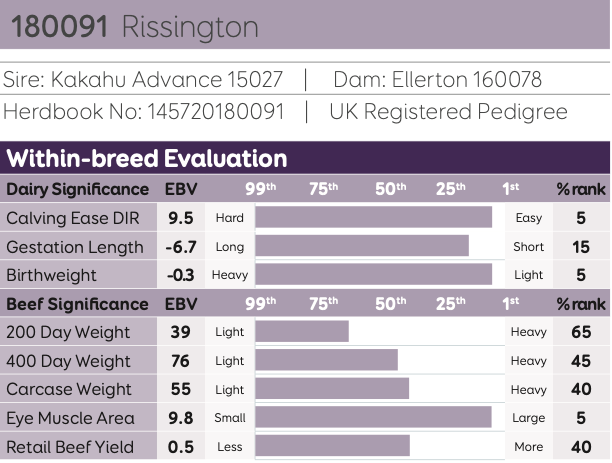 Rissington 180091