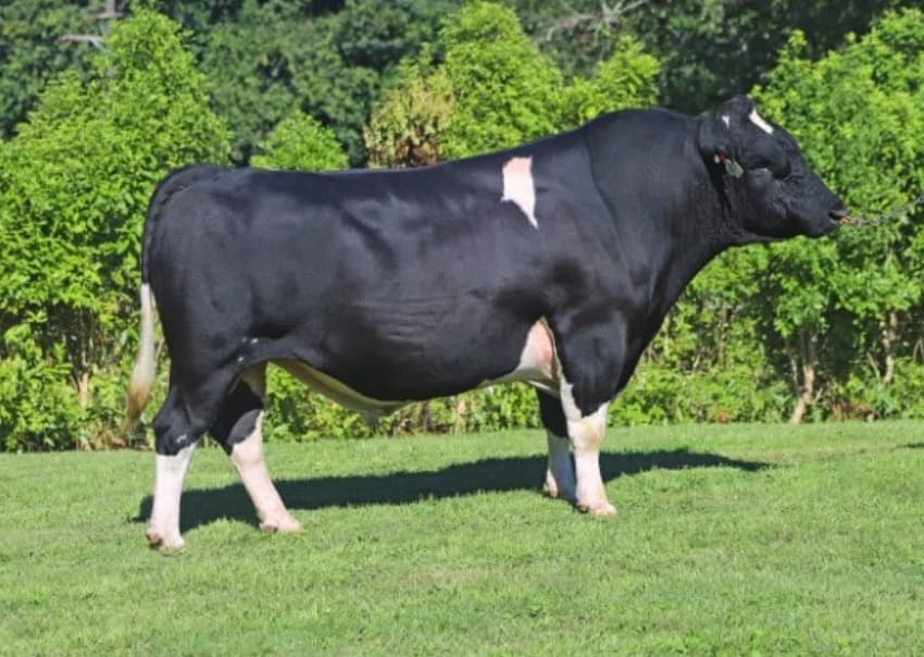 Image de Hallville As Cola S2F