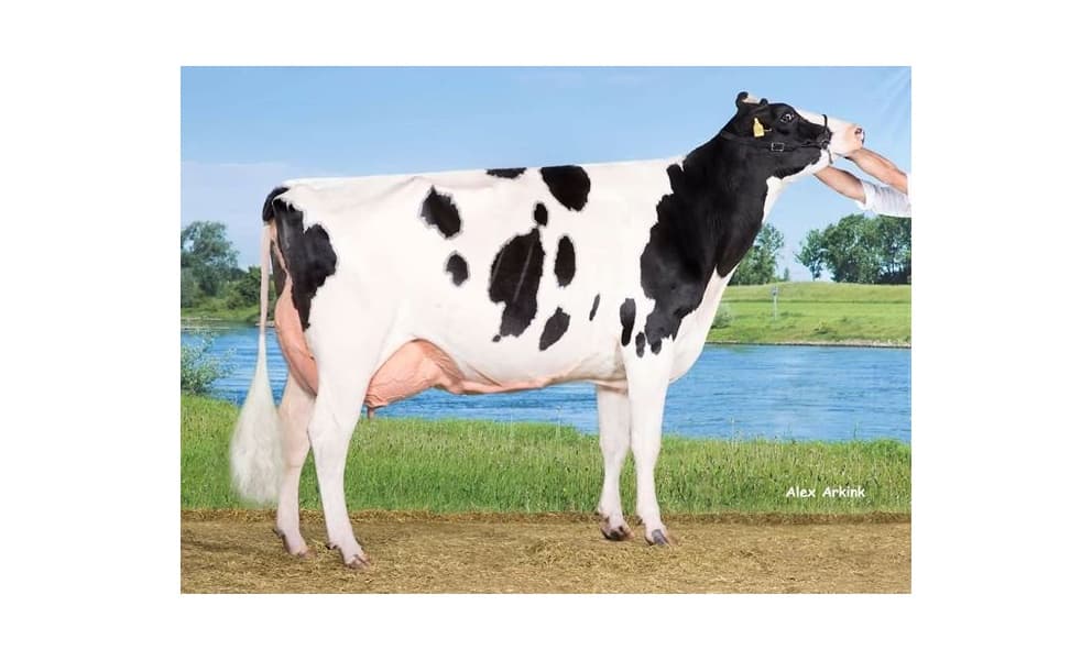 Image de Veenhuizer Jt Jamie